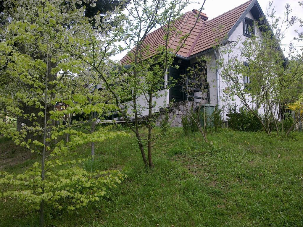 Villa Casa Gabriela Sinaia Habitación foto