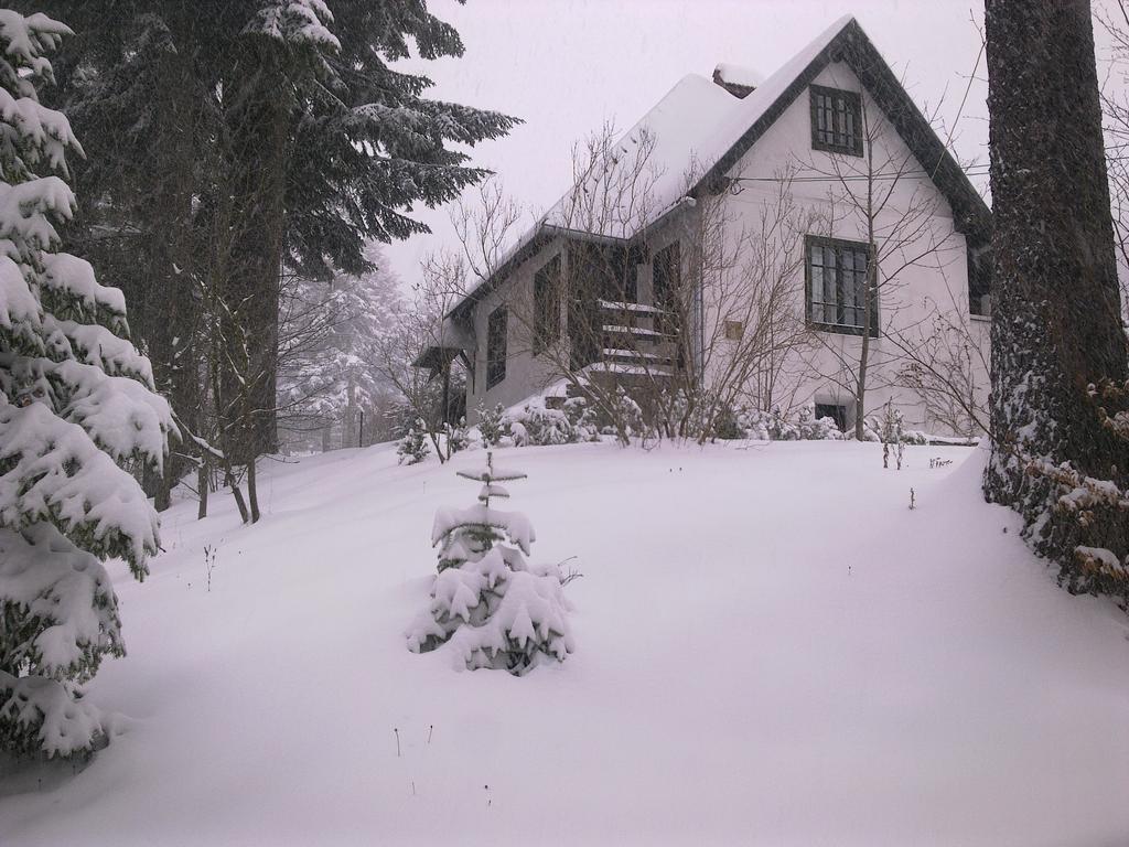 Villa Casa Gabriela Sinaia Habitación foto